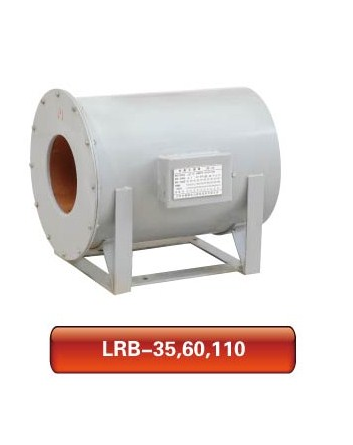 LRB-35 60 110电流互感器